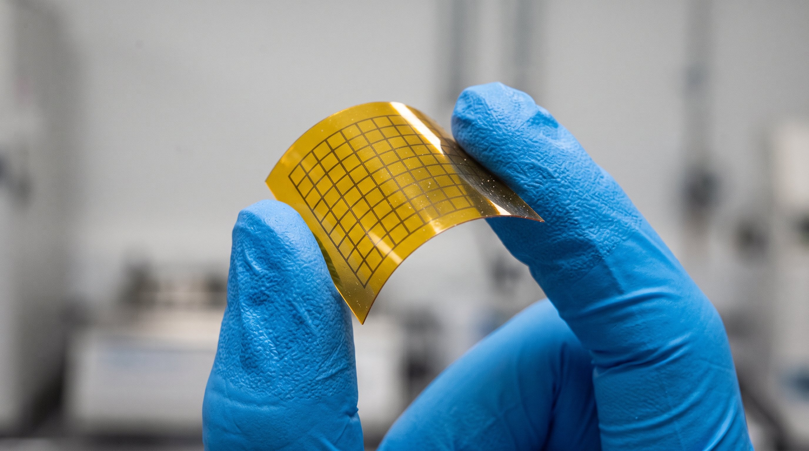 Two fingers in blue lab gloves hold a small, curved, transparent yellow sheet with a fine grid of dark lines, in front of a blurred laboratory background.